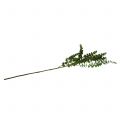 Floristik24 Eucalyptus branch green 130cm