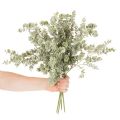 Artificial Eucalyptus Branches Decorative Stems 49cm Green Set of 4 | Floristik24.co.uk