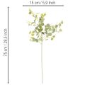 Artificial Eucalyptus Branch with Round Leaves 75cm Set of 4 | Floristik24.co.uk