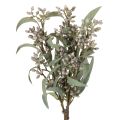 Floristik24 Artificial Eucalyptus Stems Set of 3 Green 53cm for Home and Party Decoration