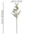Artificial Eucalyptus Stems Set of 3 Green 53cm for Home and Party Decoration | Floristik24.co.uk
