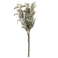 Artificial Eucalyptus Stems Set of 3 Green 53cm for Home and Party Decoration | Floristik24.co.uk
