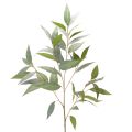 Floristik24 Artificial Eucalyptus Stem Green 100cm Indoor Decoration