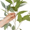 Artificial Eucalyptus Stem Green 100cm Indoor Decoration | Floristik24.co.uk