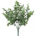 Floristik24 Eucalyptus branch green Artificial eucalyptus decoration at the pick 36cm