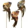 Floristik24 Deco plug owl, floral decoration, owl with feathers H5.5cm 6pcs