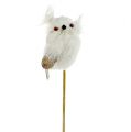 Floristik24 Owl on the rod white 9cm L48cm