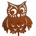 Floristik24 Garden stakes owl patina, autumn, metal decoration H32cm 6pcs