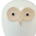 Floristik24 Owl decorative figures ceramic forest animal decoration white 11.5cm