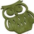 Floristik24 Litter Deco Owls Wood assorted 4cm 72pcs