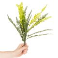 ProductName  
Artificial Fern Spray Green 45cm for Home Decoration  

ProductDescription  
<h2>Artificial Fern Spray for Versatile Home Decoration</h2>  
<p>This artificial fern spray is a vibrant, lifelike decoration that brings a natural touch to your h | Floristik24.co.uk