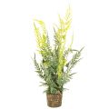 Floristik24 ProductName  
57cm Artificial Fern with Decorative Earth Ball for Home and Office Decoration  

ProductDescription  
<div>  
<h2>Artificial Fern for Stylish Home and Office Decoration</h2>  
<p>This artificial fern stands 57cm tall and offers a natural-lo