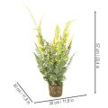 ProductName  
57cm Artificial Fern with Decorative Earth Ball for Home and Office Decoration  

ProductDescription  
<div>  
<h2>Artificial Fern for Stylish Home and Office Decoration</h2>  
<p>This artificial fern stands 57cm tall and offers a natural-lo | Floristik24.co.uk