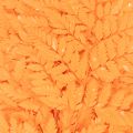 Dried Preserved Fern Branch
