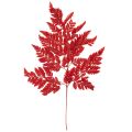 Floristik24 Preserved Red Fern Stems 42cm Pack of 10 for Autumn Decorations