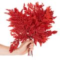 Preserved Red Fern Stems 42cm Pack of 10 for Autumn Decorations | Floristik24.co.uk
