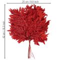 Preserved Red Fern Stems 42cm Pack of 10 for Autumn Decorations | Floristik24.co.uk
