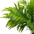 Floristik24 Palm fronds palm tree decoration artificial plants green 30cm 3pcs
