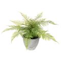 Floristik24 Kunststoff Fern in Plant Pot 35cm for Indoor Decoration