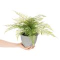 Kunststoff Fern in Plant Pot 35cm for Indoor Decoration | Floristik24.co.uk