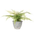 Kunststoff Fern in Plant Pot 35cm for Indoor Decoration | Floristik24.co.uk