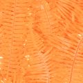 Preserved Orange Fern Stems
