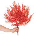 Preserved Fern Bundle Red 60cm 10 Stems for Indoor Decoration | Floristik24.co.uk