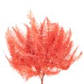 Preserved Fern Bundle Red 60cm 10 Stems for Indoor Decoration | Floristik24.co.uk