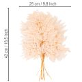 Dried Fern Stems for Vase Decoration 42cm Pink 10 Pieces | Floristik24.co.uk