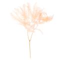 Floristik24 Dried Fern Stems 60cm Set of 10 in Light Pink for Home Decoration
