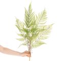 Kunststoff Fern Stem Decorative Green Plant for Indoor Arrangements 80cm | Floristik24.co.uk
