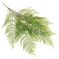 Kunststoff Fern Stem