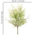 Artificial Ruscus Spray Green 41cm for Home and Floral Decorations | Floristik24.co.uk