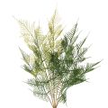 Floristik24 Artificial Fern Stem Green Decorative 56cm