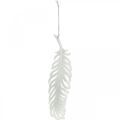 Floristik24 Feathers to hang, Christmas tree decoration, decorative feathers with glitter, wedding white L19cm 12pcs