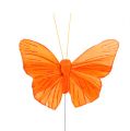 Floristik24 Feather butterfly 8cm orange 24pcs