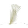Floristik24 Feather on wire cream 10m