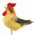 Floristik24 Rooster with real feathers on the stick orange, yellow, brown assorted H5-6cm 12pcs