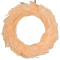 Floristik24 Spring wreath orange wreath to hang door wreath Ø20cm 3pcs
