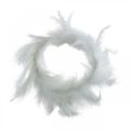 Floristik24 Feather wreath white Ø15cm spring decoration with real feathers 4pcs