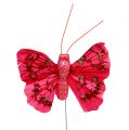 Floristik24 Spring butterfly with glitter 5cm colorful assorted. 24st