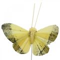 Floristik24 Feather butterfly on wire 5cm orange, yellow 24pcs