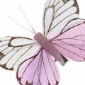 Floristik24 Feather butterfly pink on clip 6cm 10 pieces