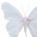 Floristik24 Feather butterfly on wire 12cm white 3pcs