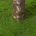 Kunst Fiddle Leaf Fig Tree 120