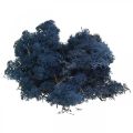 Floristik24 Deco moss blue dry moss for handicrafts colored 500g