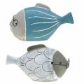 Floristik24 Deco fish with glasses blue white 15.5/14.5cm 2pcs