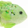 Floristik24 Decorative fish for hanging green pink orange blue 13-24cm 6pcs
