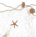 Floristik24 Fishing net with sea decoration natural polyresin 150×200cm as wall decoration