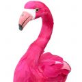 Floristik24 Deco bird Flamingo Pink H46cm